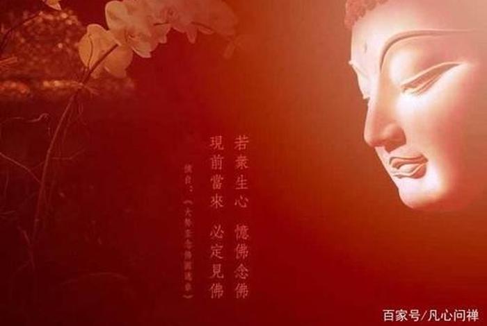佛教因果报应实录视频（佛学讲因果报应）