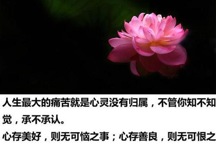佛教对善良的解读（佛家善良讲究的禅语）