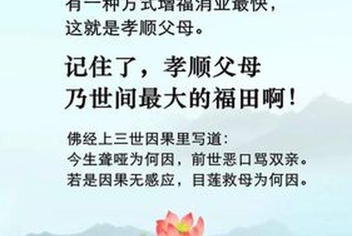 佛教 恶口（佛教恶口因果）