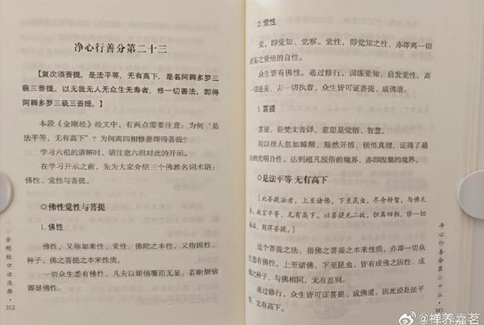 修行为什么要善护念、为什么要修善法