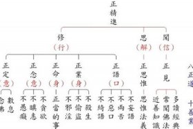 佛教基础知识11集讲解视频全集、佛教基础知识11集讲解视频全集播放
