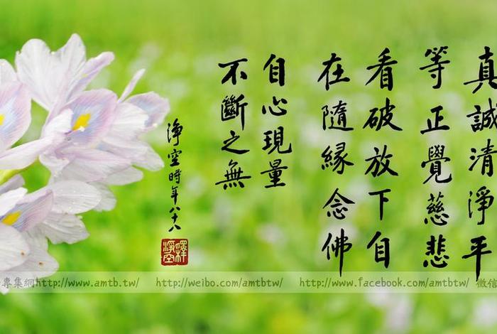 佛教清净的意思 佛教清净禅意图片