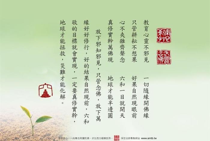 佛教智慧知识大全视频；佛学智慧视频