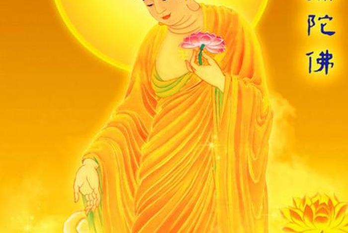 佛教素材库大全（佛教素材库大全高清）