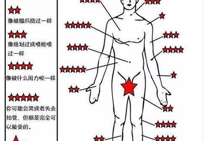 纹身入门知识大全、纹身入门基础教程
