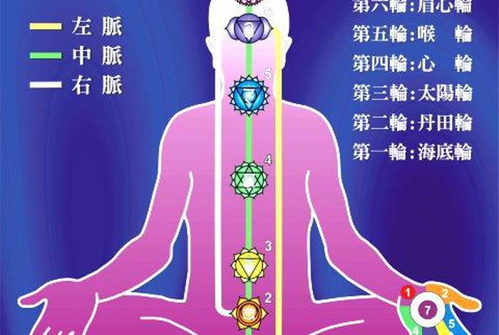 心轮在身体哪个部位，心轮在哪个位置