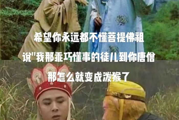 佛教中师父和师傅的区别（佛教中师父和师傅的区别是什么）