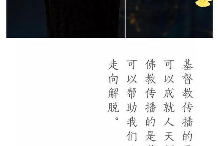 轮回禅语 - 关于轮回的佛语短句