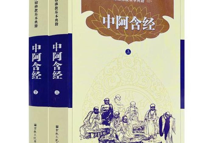 佛教知识权威书籍排行榜（佛教知识权威书籍排行榜前十名）