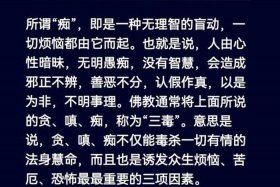 佛说人生八苦是哪八苦，佛说人生八苦是什么