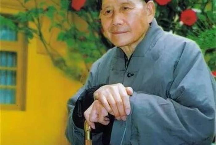 大安法师佛学问答视频开始最新 大安法师学佛问答100