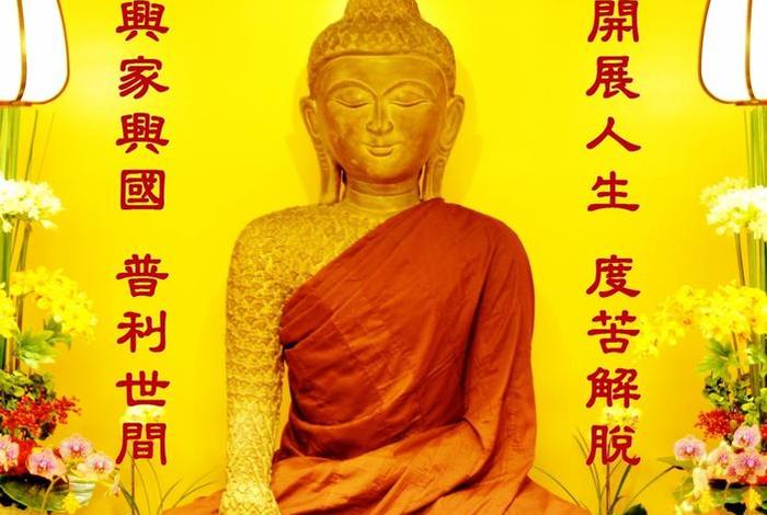原始佛教真实感受，原始佛教真实感受和收获