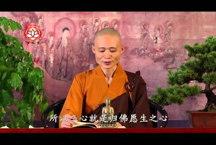 佛教净土宗早晚课（净土早晚课视频）