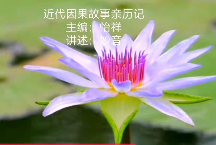 真实的因果故事视频 - 因果真实事件