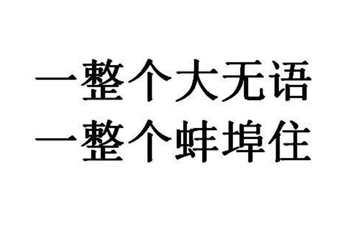 无住是什么意思 - 无住是什么意思啊
