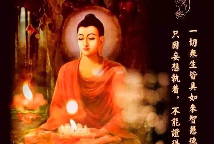 佛教代表智慧的人 佛教代表智慧的人有哪些