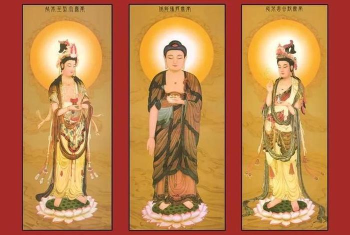 佛陀和佛教的基本知识一样吗；佛和佛陀是什么意思
