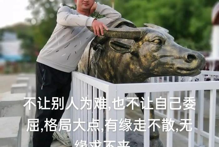 善良是指（善良是指什么？）