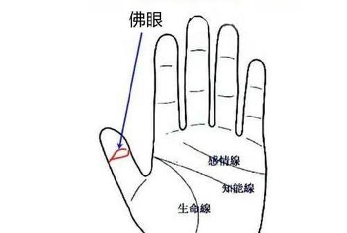 佛眼图片讲解 佛眼是什么有什么用？
