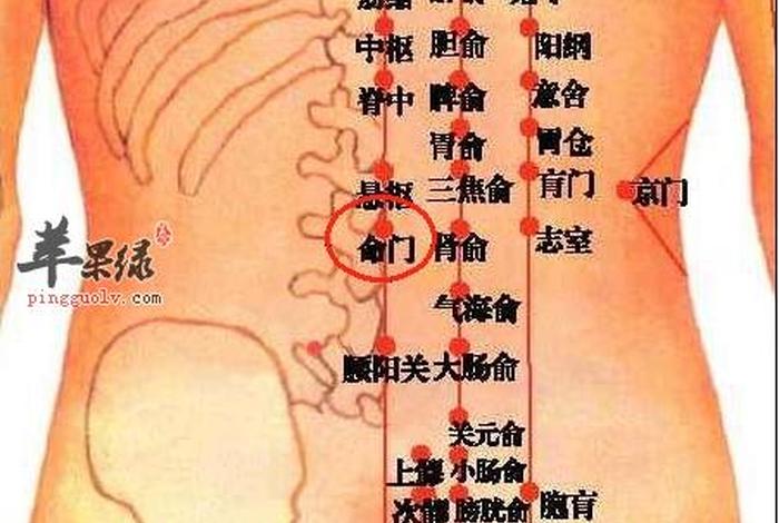 命门的重要性？、命门有什么用