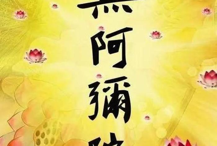 知识与佛教并不冲突的思考是什么 佛学与生活智慧