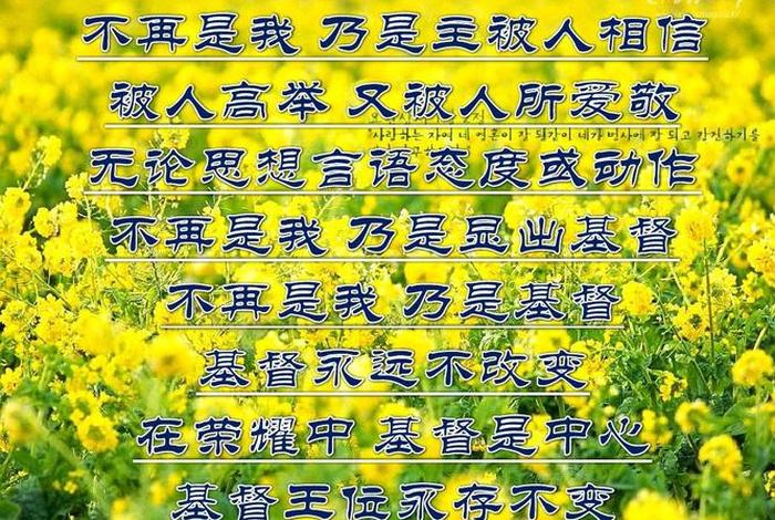 佛学的无我是什么意思 佛家说的无我