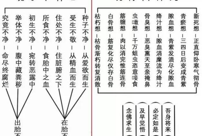佛学常识人生八苦、佛学说的人生八苦