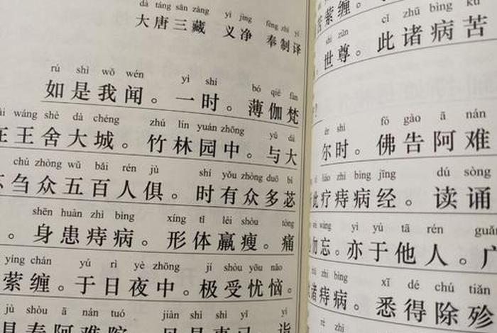 佛教医学经典 佛教医学概论