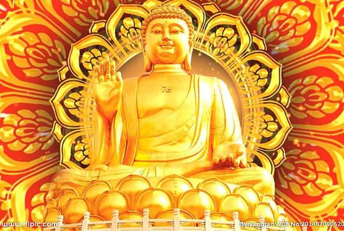 佛教一些知识视频素材免费下载；佛教视频推荐