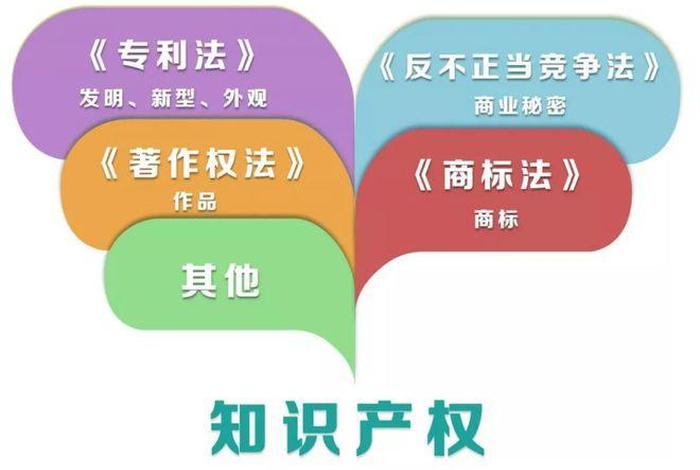 知识产权与专利权的区别（知识产权和专利的区别）