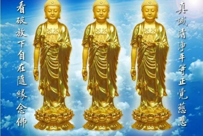佛教知识在哪个公众号里查；推荐几个佛学微信公众号
