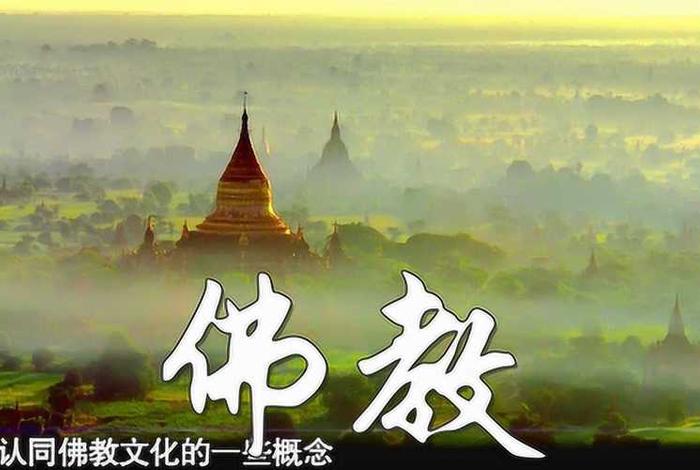 佛教知识讲究视频大全集，佛教知识讲究视频大全集在线观看