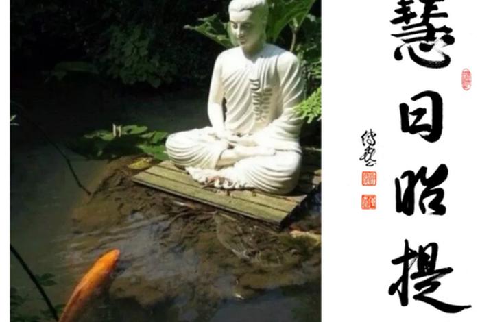 佛教觉悟是最好的智慧（什么是佛学的觉悟）