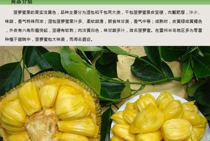波罗蜜多是什么意思（波罗蜜是什么意思中文）
