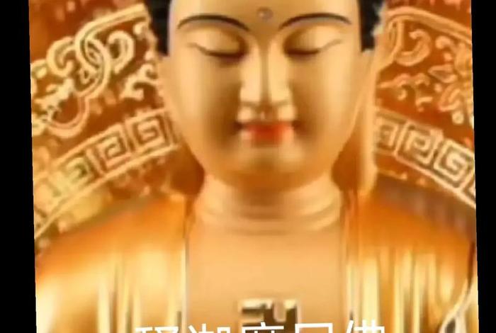 佛教为什么要行善、佛教中的行善