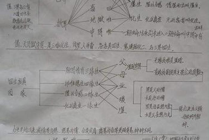 佛教法界安立图 - 佛说世界安立图解pdf