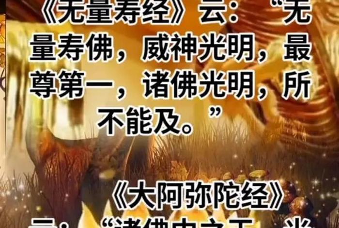 有关佛教保佑的知识大全视频（保佑的佛语）