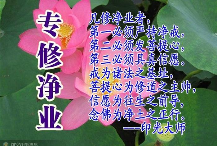学佛每天念什么好 - 每日学佛