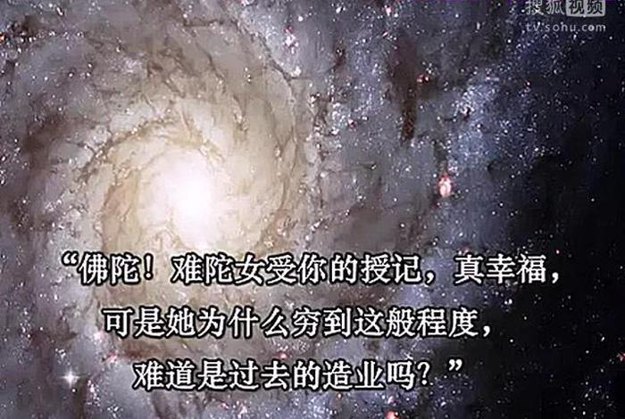 佛教育儿视频大全；佛教教育短片视频大全