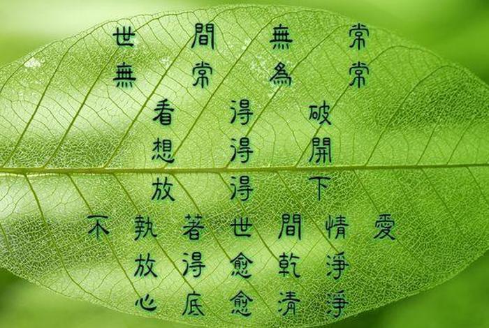 观修无常的根本是什么、观修无常的根本是什么道理