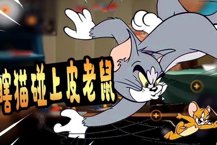 用佛教知识解释猫和老鼠的故事 猫和老鼠佛系猫是什么意思