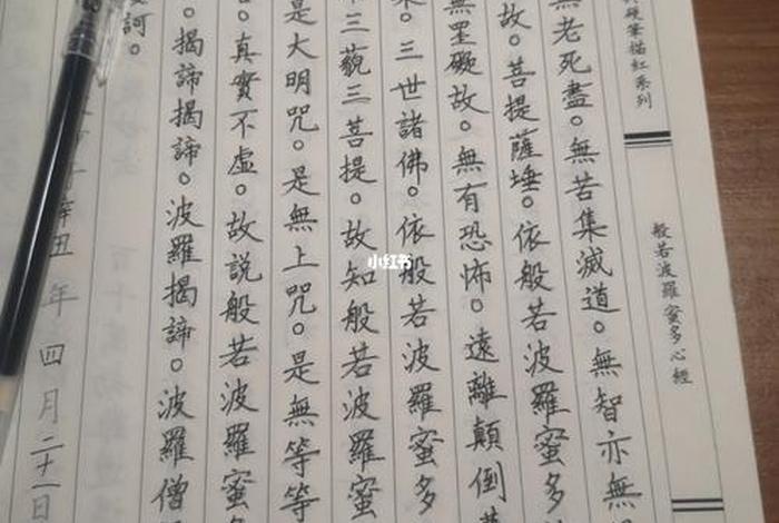 三皈依回向偈佛教音乐（三皈依回向偈注音版）
