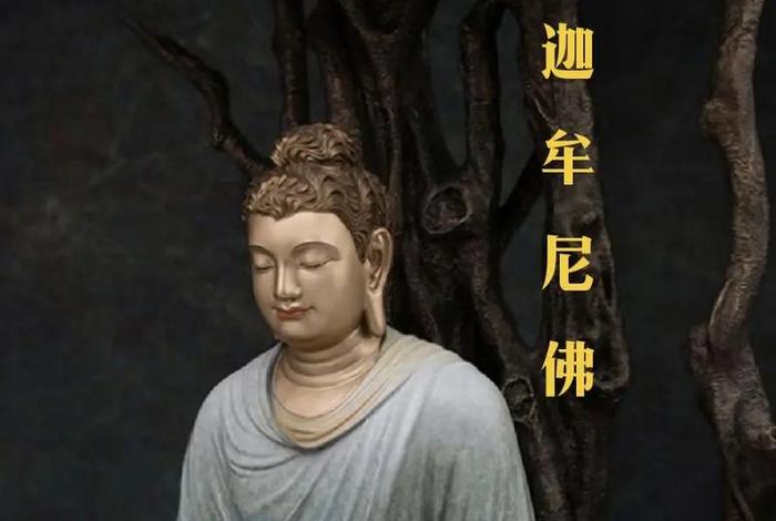 释迦摩尼佛讲解；释迦摩尼佛讲法图