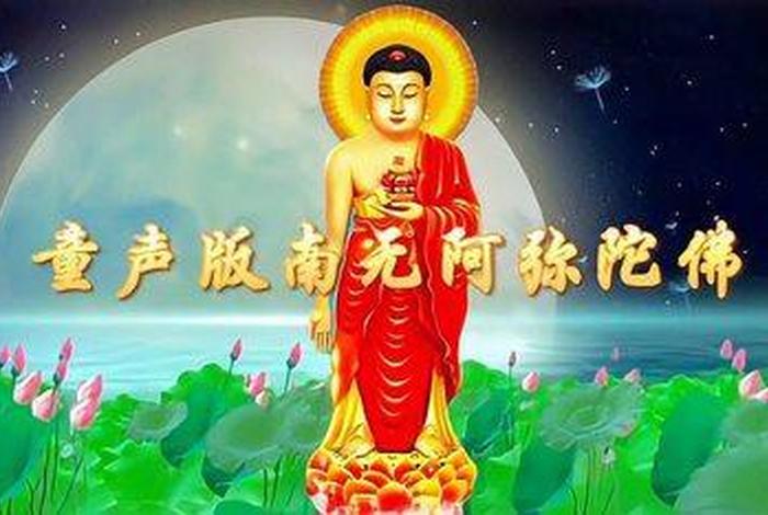 佛教视频头条号（佛教视频头条号是什么）