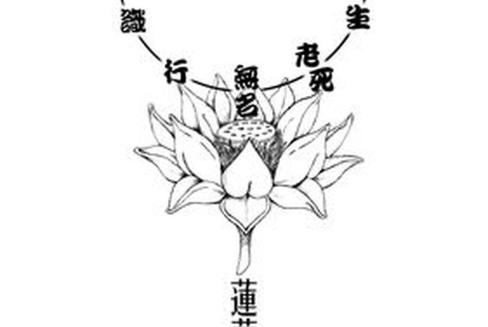 佛教中的缘起；佛教中的缘起是指什么