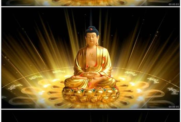 佛教震撼的视频；佛教的视频全集视频