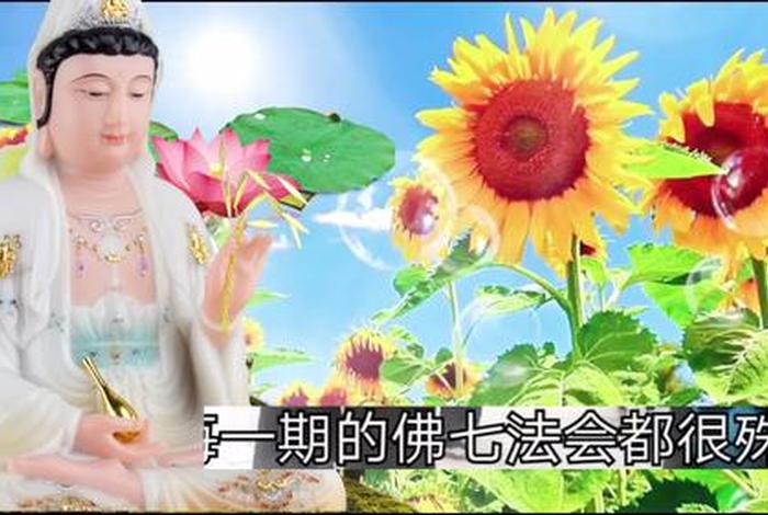搜索佛教的视频；超清佛教视频