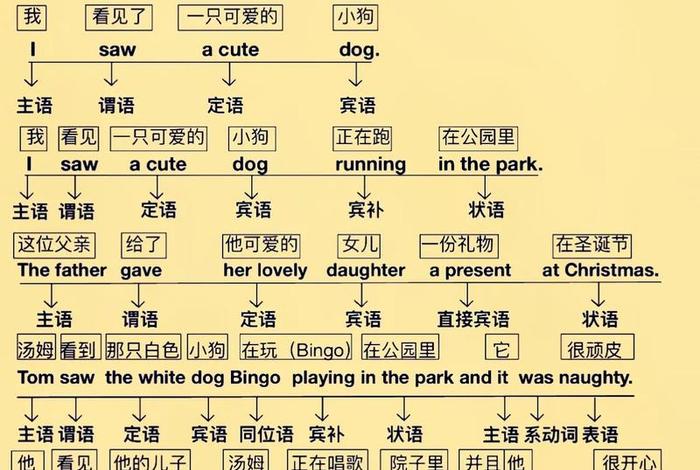 秒懂知识全部视频；秒懂知识点