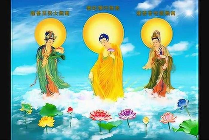 佛学的视频播放；讲佛学的视频播放