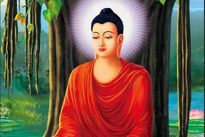 释迦摩尼佛讲座；释迦摩尼讲道